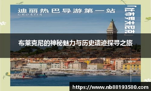 BG大游