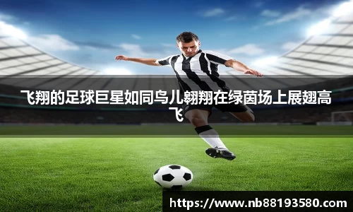 BG大游