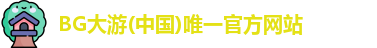 BG大游